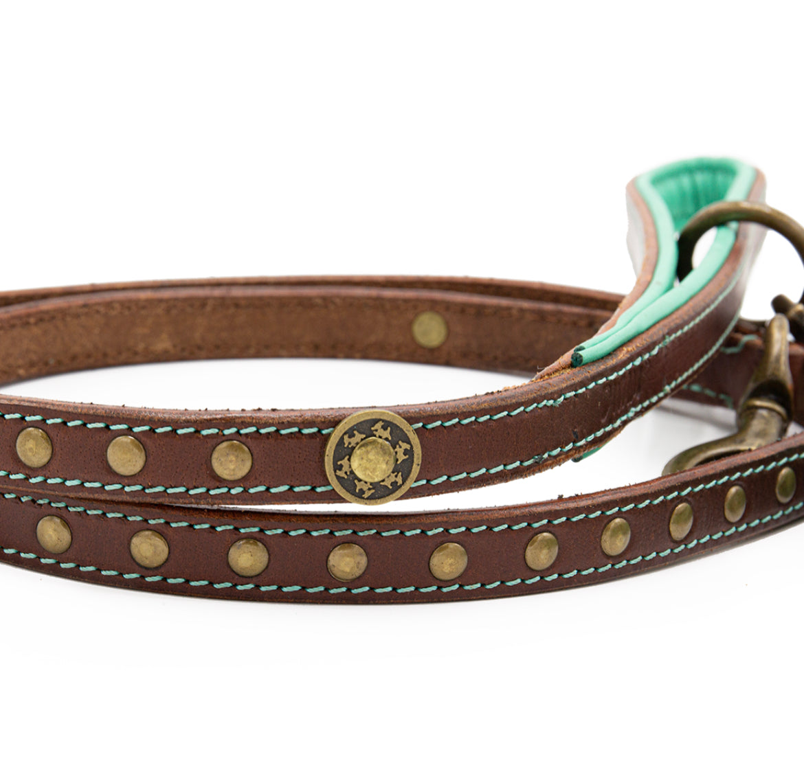 Guinzaglio per Cani | JOE
