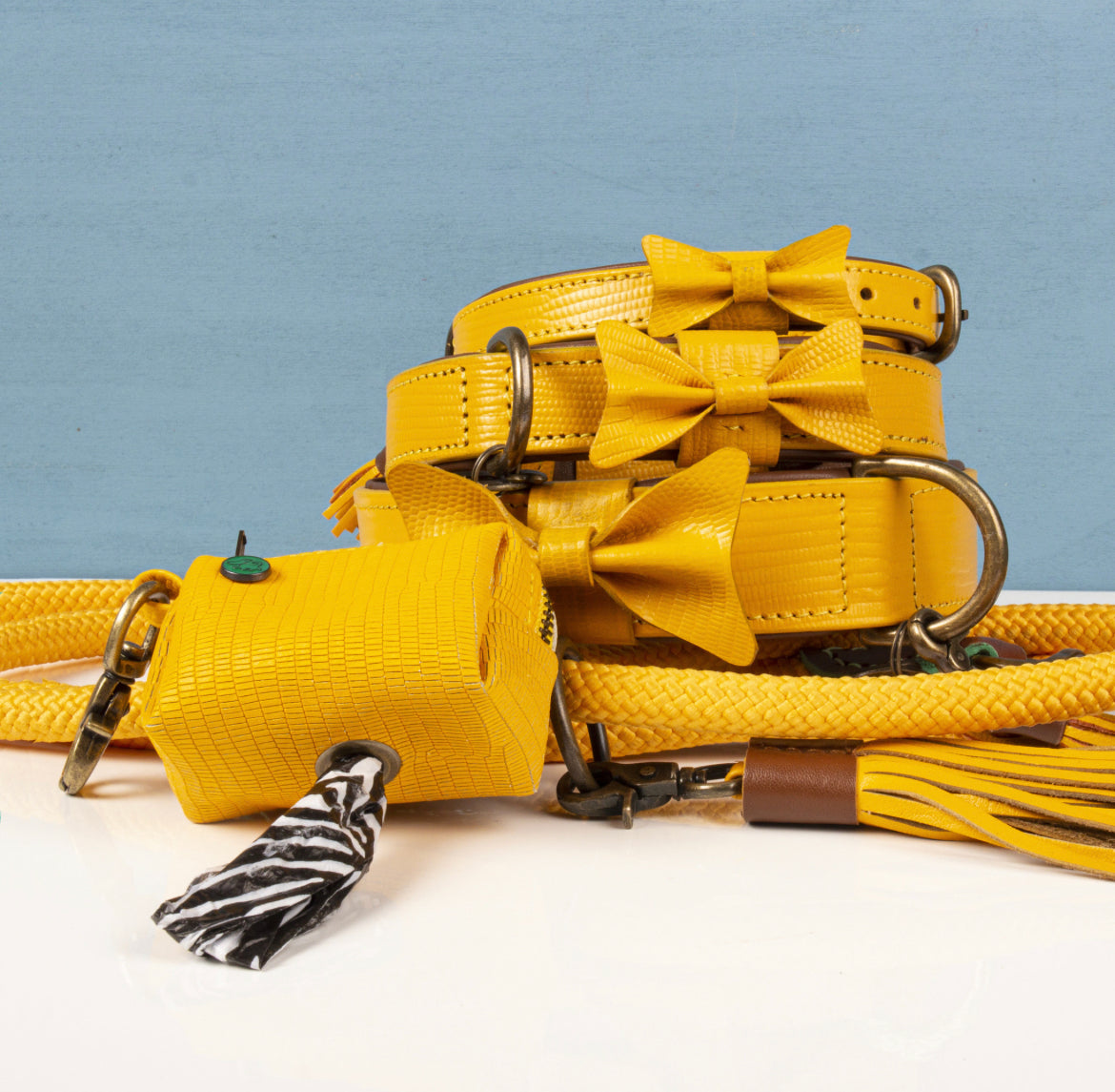 Guinzaglio per Cani | CITY BIBI CLASSIC