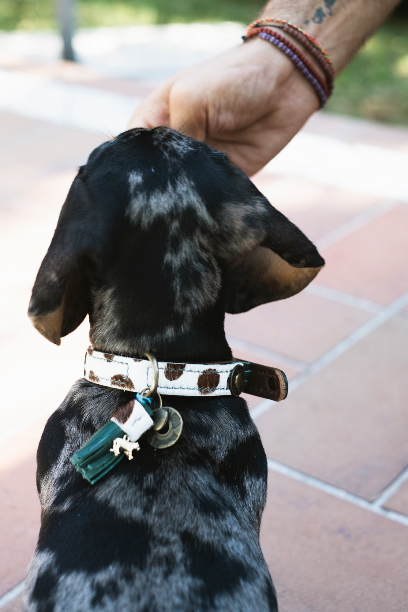 PARTNER COLLECTION - La nostra selezione per ciò che non produciamo