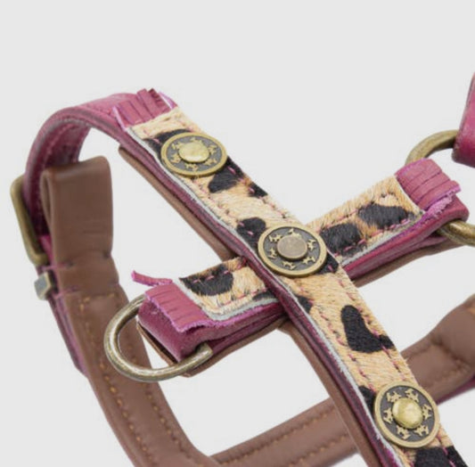 Pettorina per Cani | LOU LOU