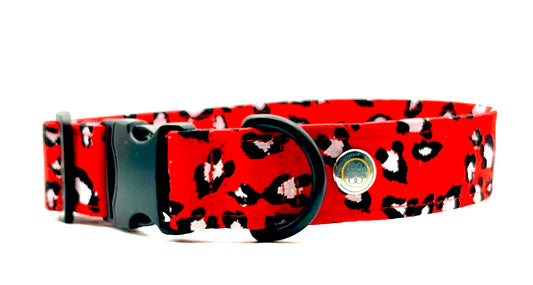 Collare per Cani | LEOPARD