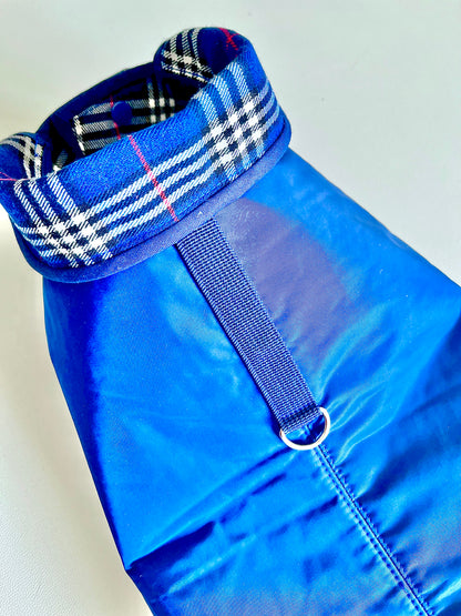 Cappotto bassotto | BRITISH BLU