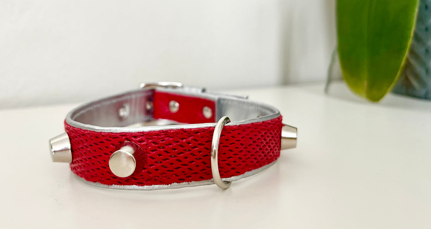 Collare per Cani | ROUGE