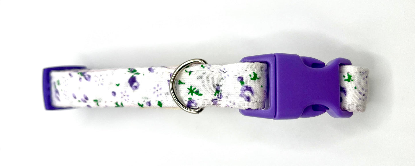 Collare per Cani | ARMONY