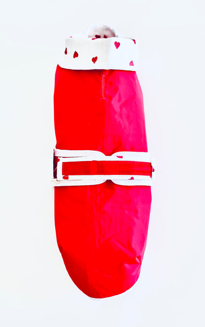 Cappotto per bassotto | LOVE