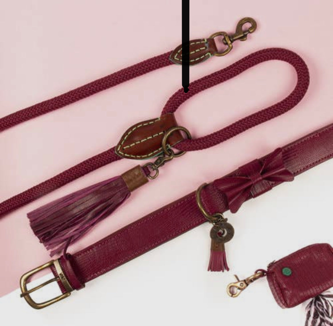 Guinzaglio per Cani | CITY BONNIE CLASSIC