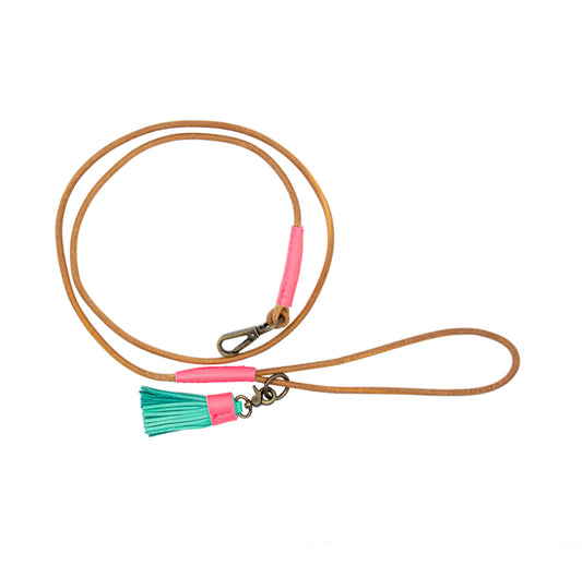 Guinzaglio per Mini Dog | DUSHI