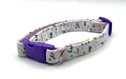 Collare per Cani | ARMONY