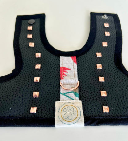 Pettorina per Minidog | ROCK