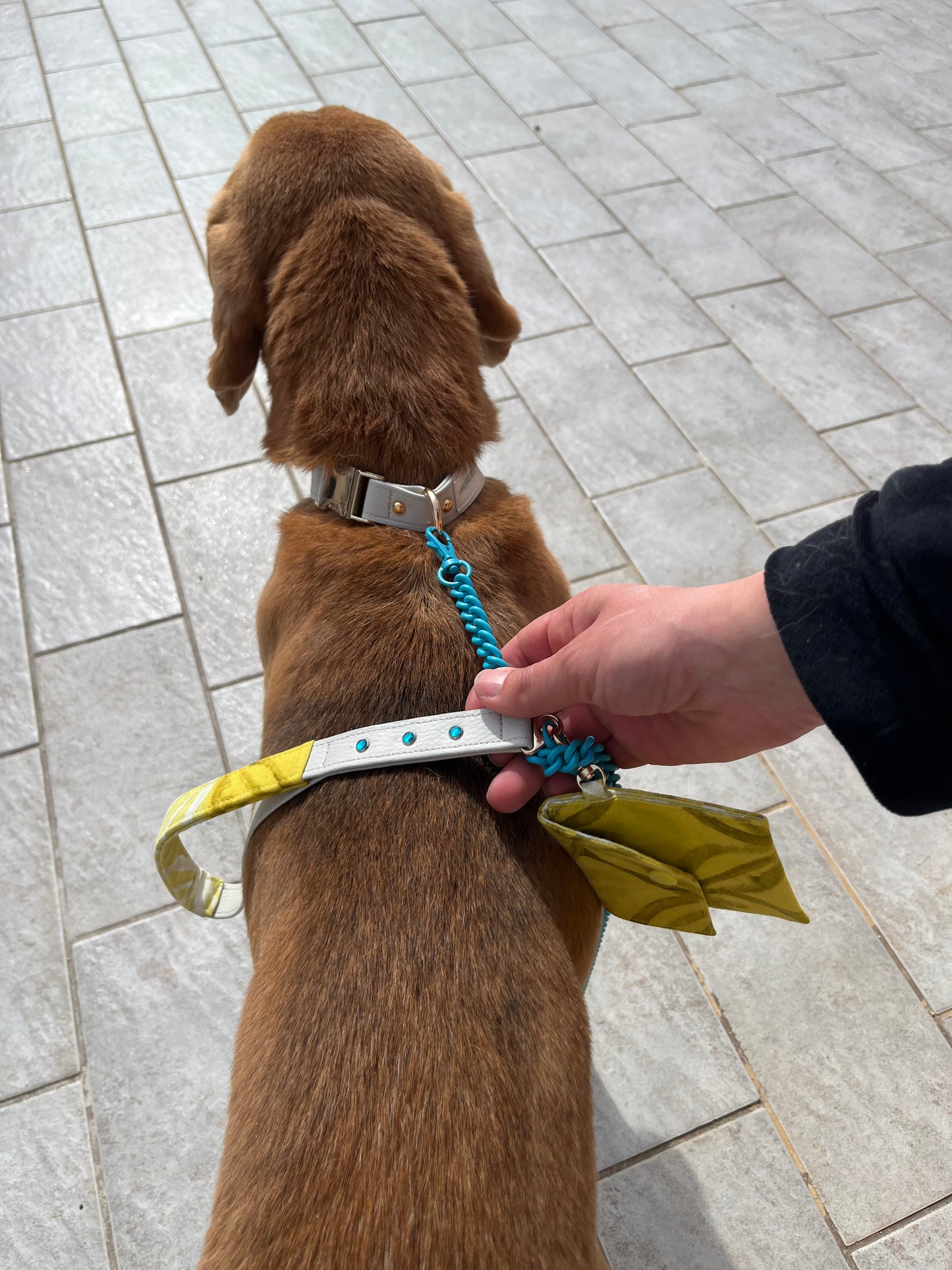 Set da passeggio | LIME