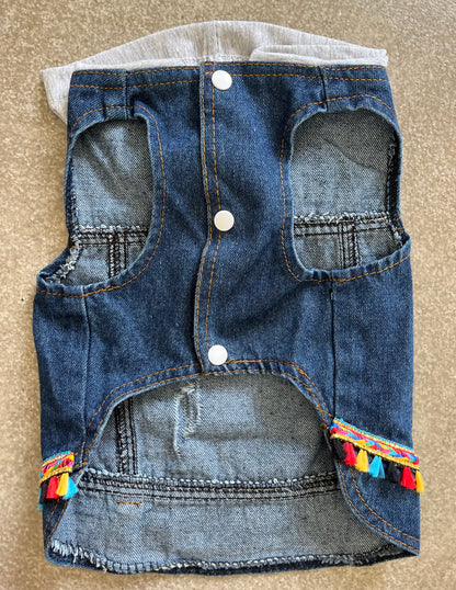 Giubbino jeans | GIPSY