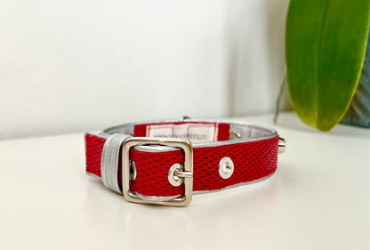 Collare per Cani | ROUGE