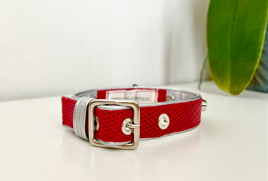 Collare per Cani | ROUGE