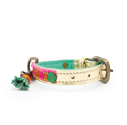 Collare per Mini Dog | LIZZY