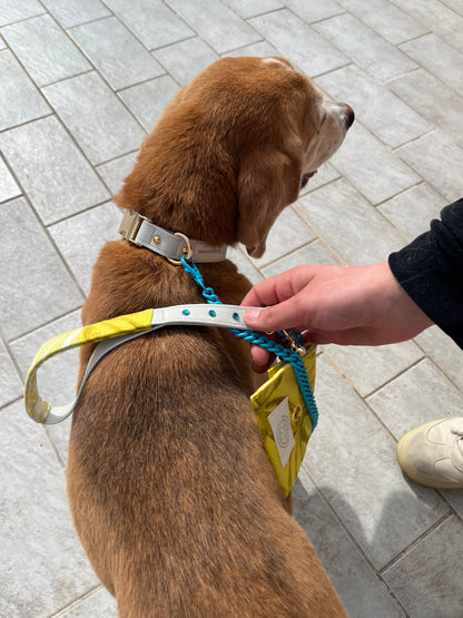 Set da passeggio | LIME