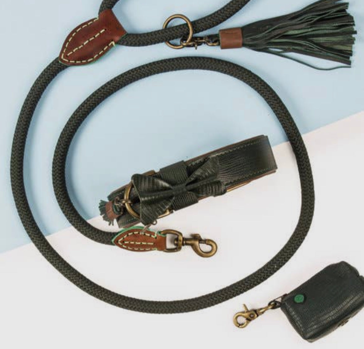 Collare per Cani | CITY BOWIE