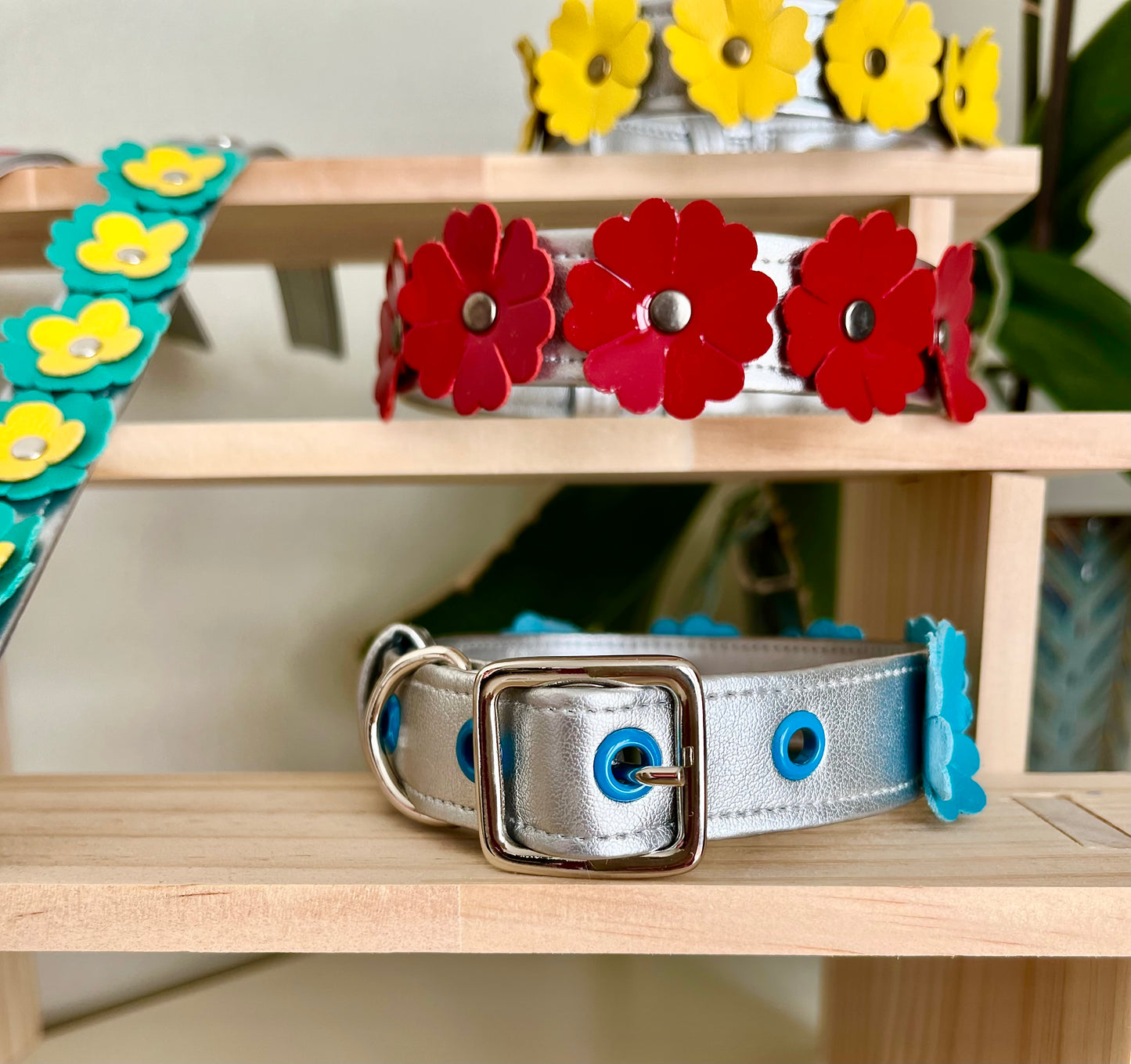 Collare per Cani | FLOWERS