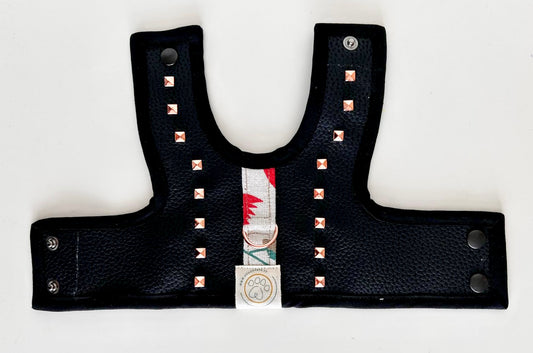 Pettorina per Minidog | ROCK