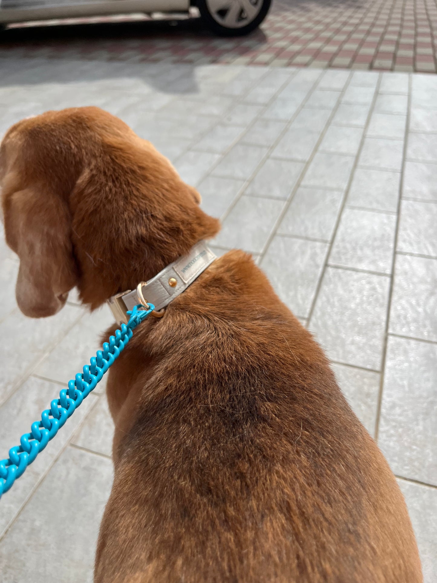 Set da passeggio | LIME