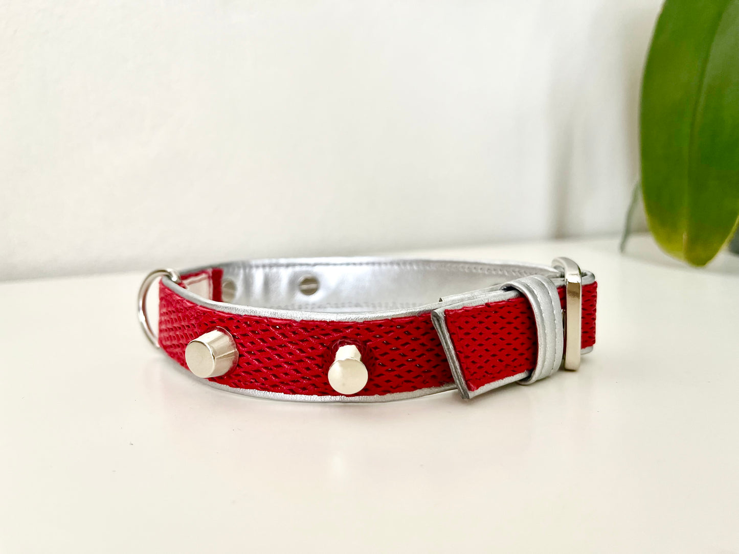 Collare per Cani | ROUGE