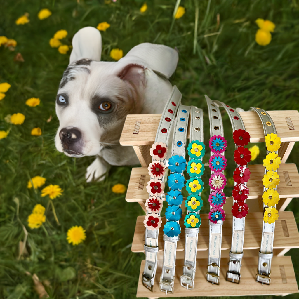 Collare per Cani | FLOWERS