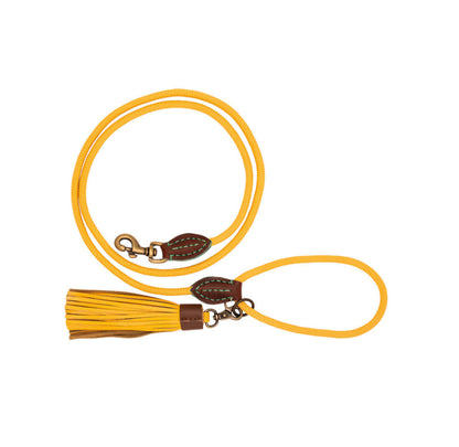 Guinzaglio per Cani | CITY BIBI CLASSIC
