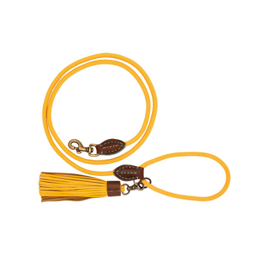 Guinzaglio per Cani | CITY BIBI CLASSIC