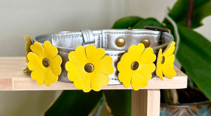 Collare per Cani | FLOWERS