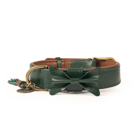 Collare per Cani | CITY BOWIE