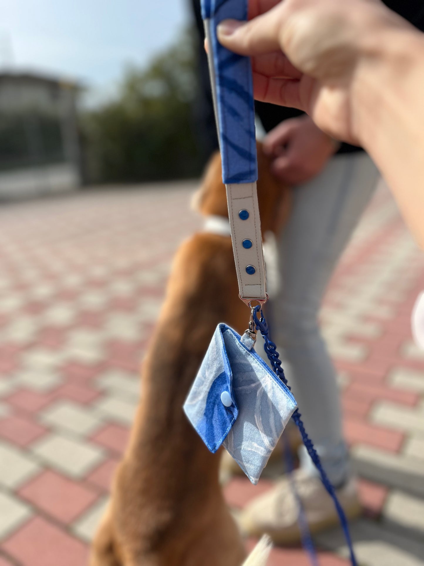 Set da passeggio | BLU SKY