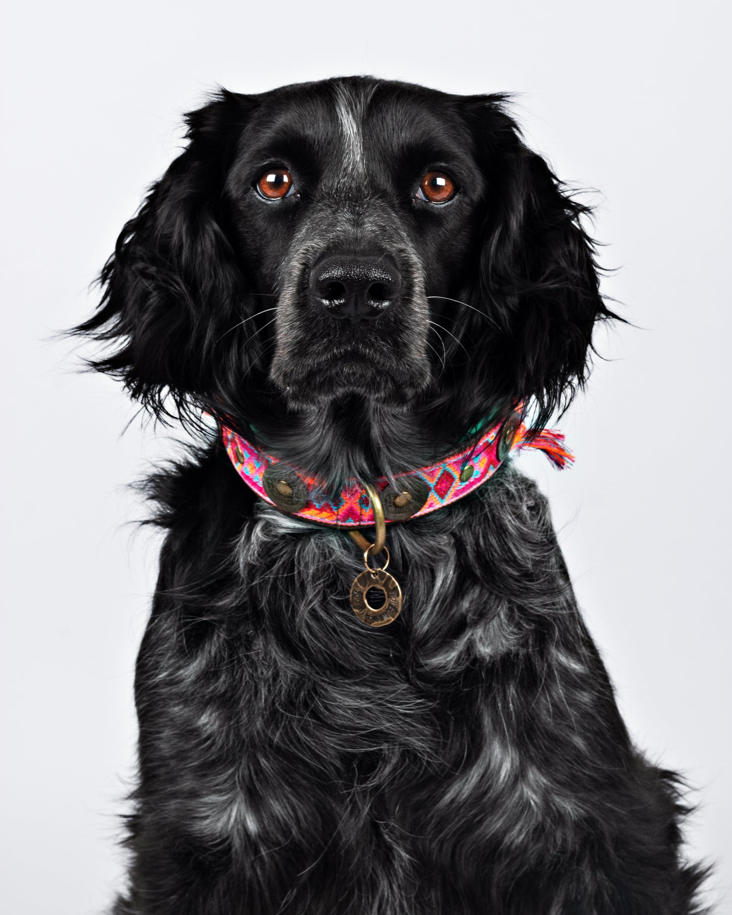 Collare per Cani | BOHO ROSA