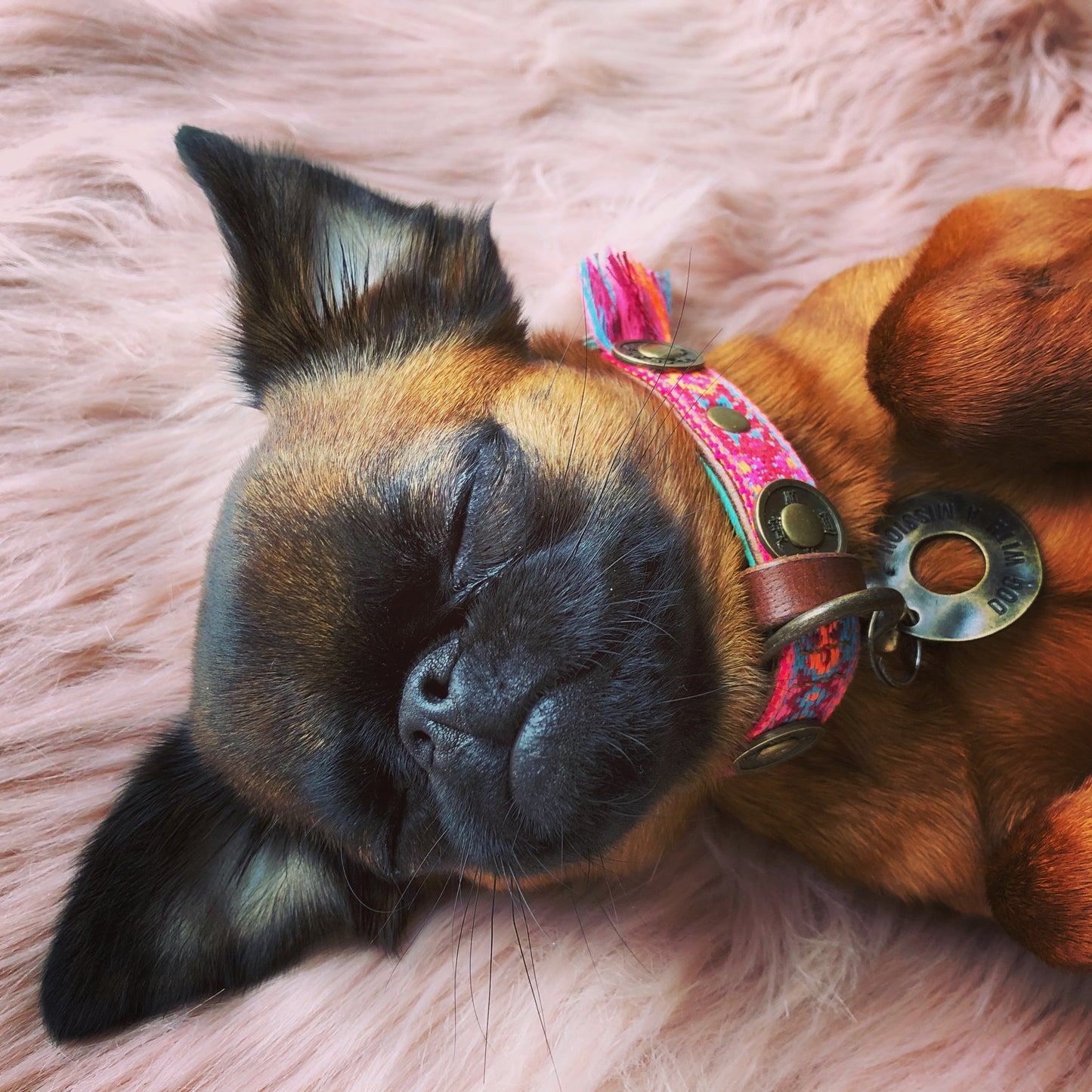 Collare per Cani | BOHO ROSA