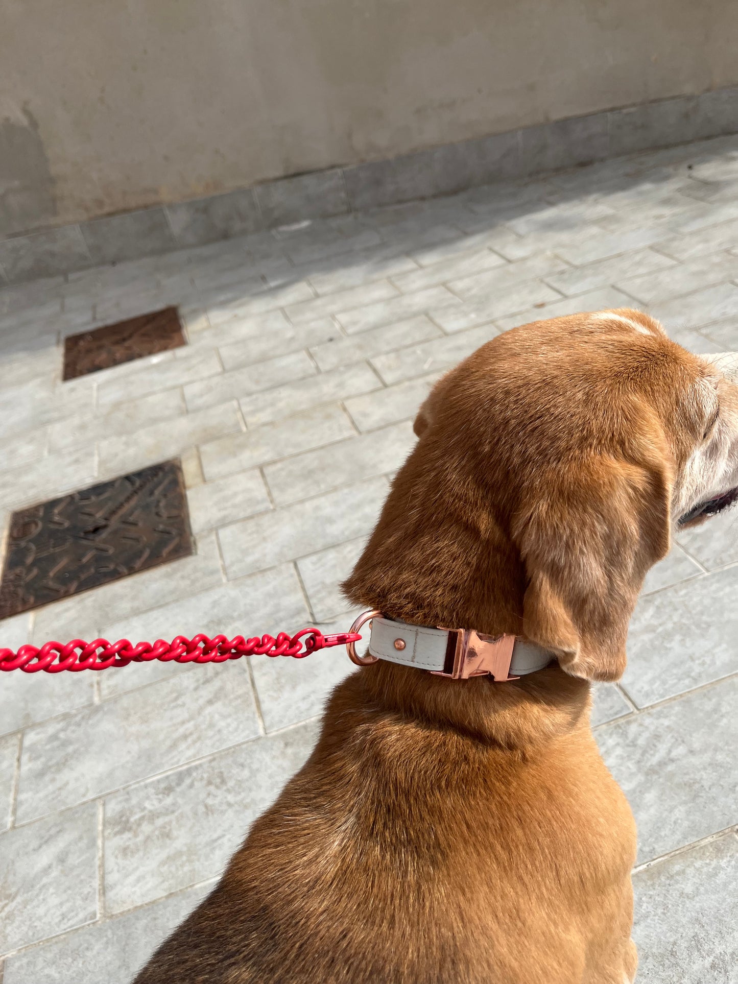 Set da passeggio | FLOWERY