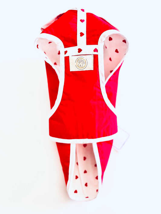 Cappotto per bassotto | LOVE