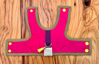 Pettorina per Minidog | SHOCK