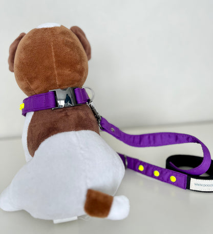 Set da passeggio | PUNKY FLUO