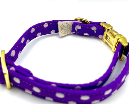 Collare per Cani | ARMONY