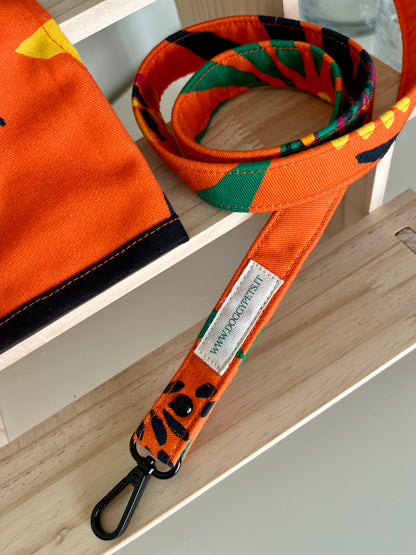 Set da passeggio | TROPICAL