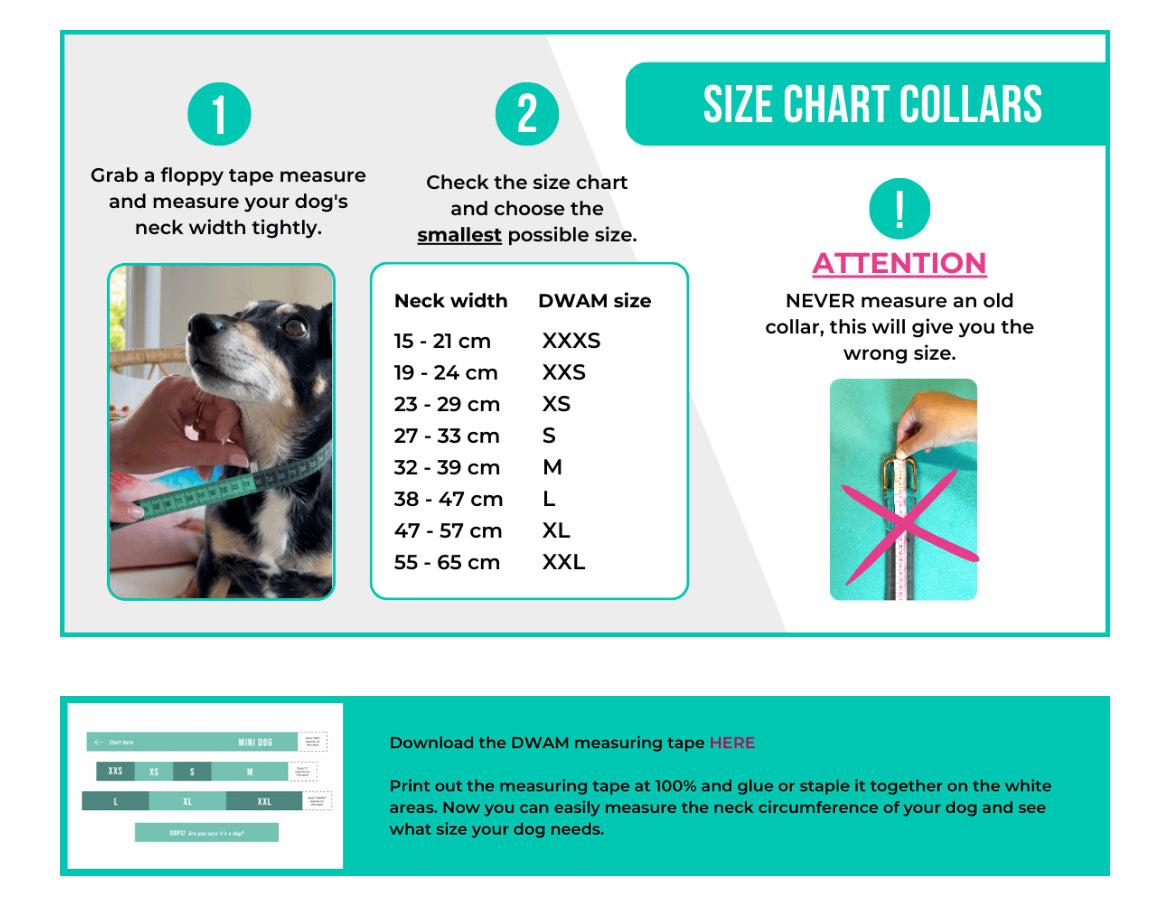 Collare per Cani | BLING