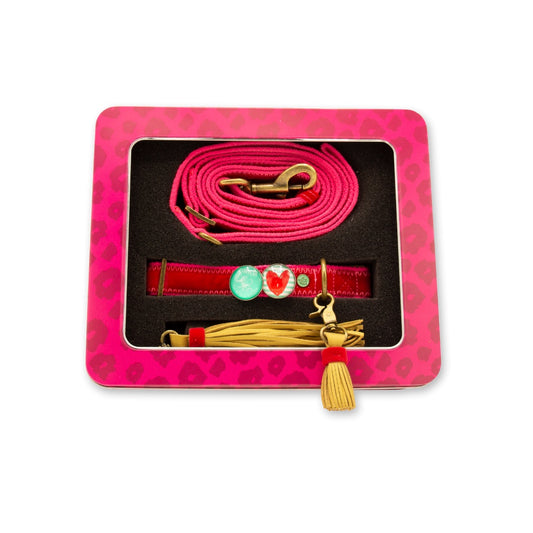 Set Collare e Guinzaglio | STREETWAER SNOOPY