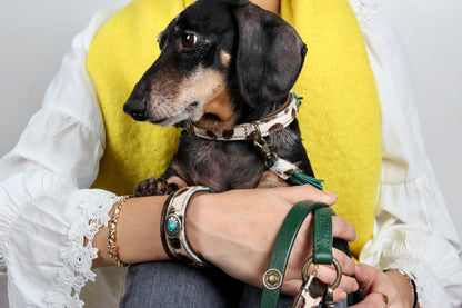Collare per Cani | CHIC BOUTIQUE IVY
