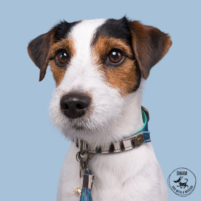 Collare per Cani | CHIC BOUTIQUE ZARA