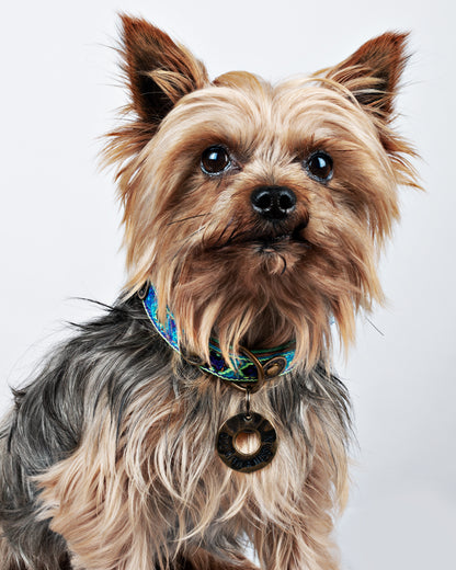 Collare per Cani | BOHO JUAN