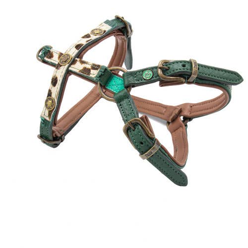 Pettorina per Cani | IVY