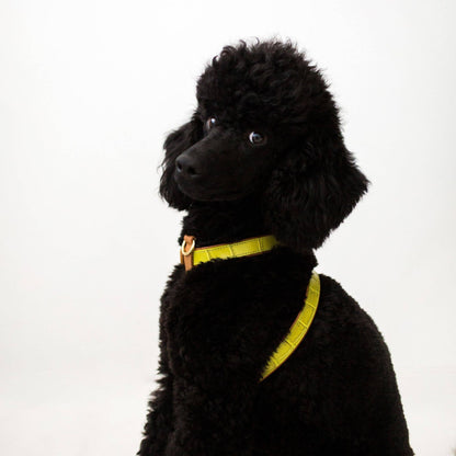 Pettorina | LIA VERDE LIME