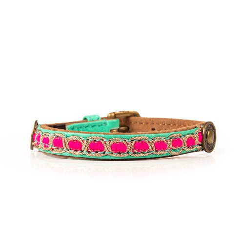 Collare per Minidog | COCO