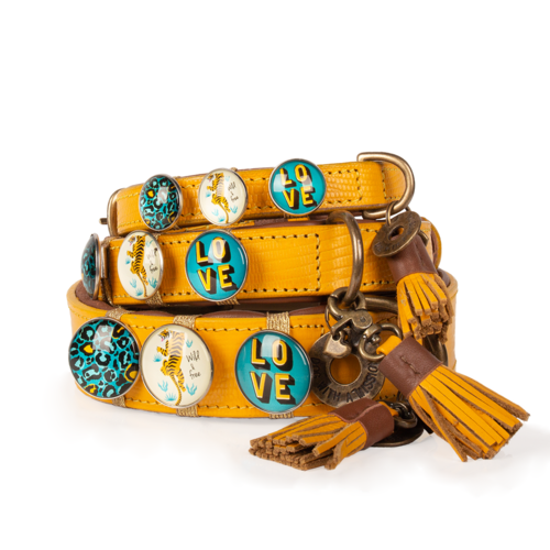 Collare per Cani | NEW YORK YANKEE