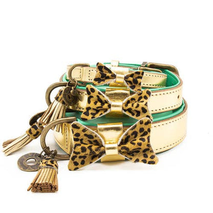 Collare per Cani | BLING