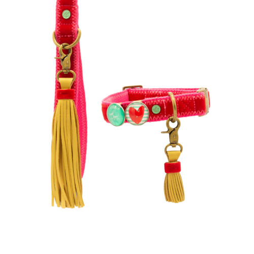 Set Collare e Guinzaglio | STREETWAER SNOOPY