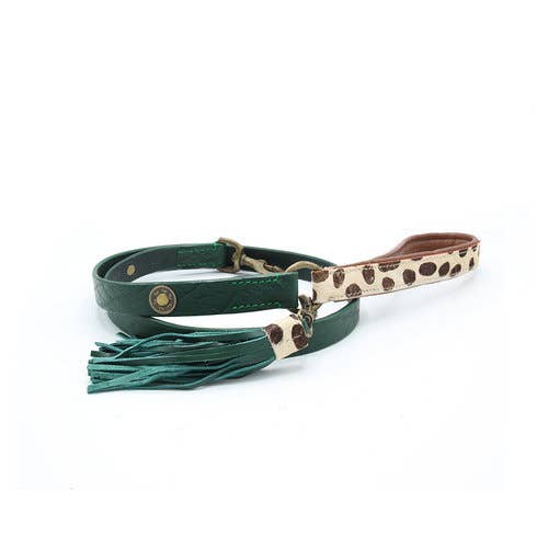 Guinzaglio per Cani | IVY